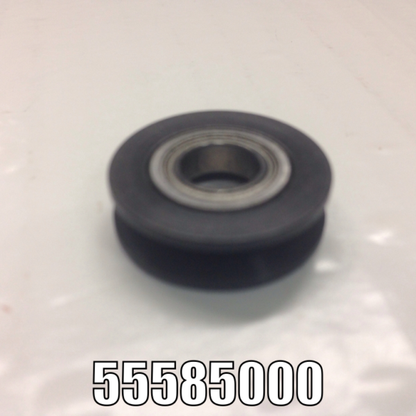 055585000