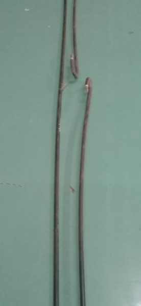 SM318