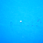 9203 312412   
