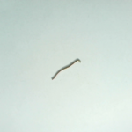 B3212 761 OOO   